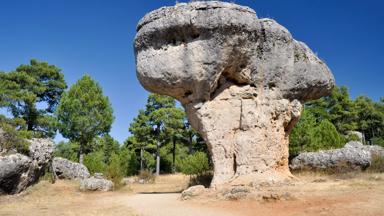 spanje_castilie-la-mancha_cuenca_betoverde-stad_la-ciudad-encantada_rotsen_gesteenten_blauwe-lucht_bomen_shutterstock