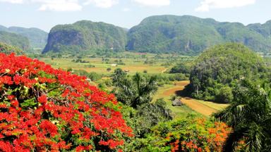 cuba_vinales_uitzicht over de vallei_f(2).JPG