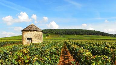 frankrijk_bourgogne-franche-comte_wijngaard_huis_heuvel_office-du-tourisme-bourgogne