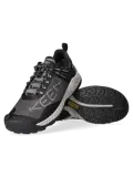 NXIS EVO - Wandelschoenen - Heren
