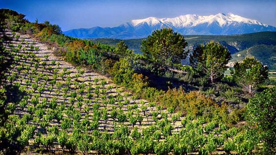 Frankrijk-Occitanie-Roussillon-Prades-Mont-Canigou©CRT Occitanie-G Deschamps