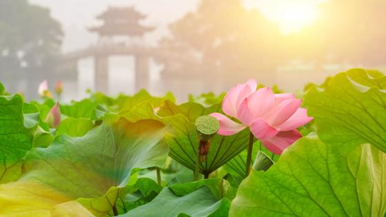 Dit beeld mag alleen gebruikt worden voor en door de business line Reizen. Binnen Reizen mag dit beeld online gebruikt worden en in print tot een oplage van maximaal 500.000.