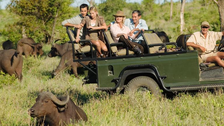 Group of tourists in jeep looking at African buffaloes (Syncerus caffer)