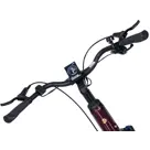 Deluxe SUVEasy ebike midmotor