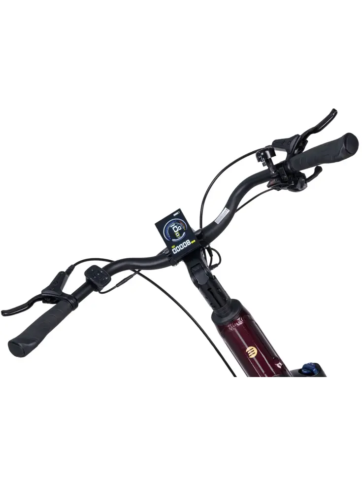 Deluxe SUVEasy ebike midmotor
