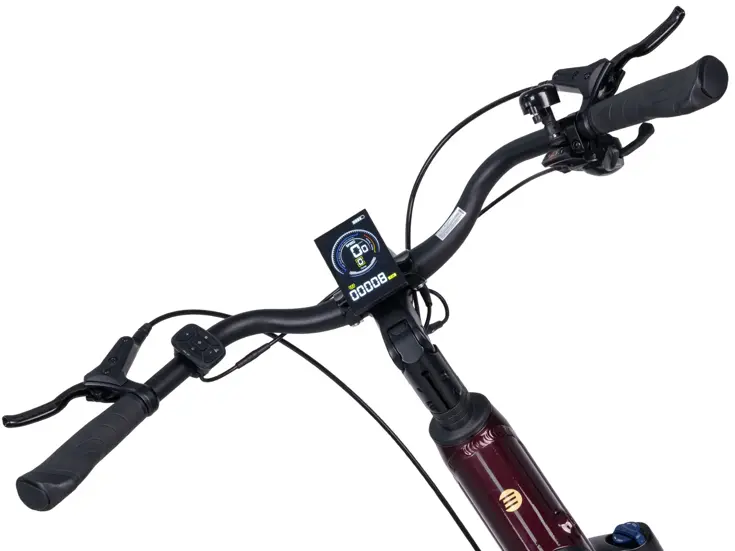 Deluxe SUVEasy ebike midmotor