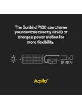Zonnepaneel Sunbird P100 - 100W