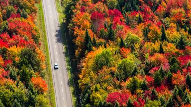 canada_algemeen_autoweg_herfst_b