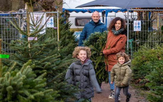 Kerstboom vervoeren zonder bekeuring