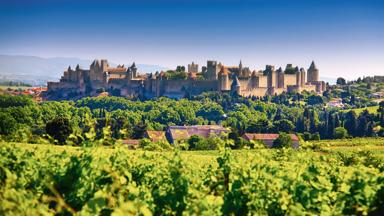 wandelrondreis_frankrijk_occitanie_pyreneeen_carcassonne_chateau_wijnranken2_crt_occitanie_copyright_g_deschamps
