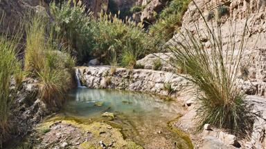 israel_zuid_ein-gedi _natuurreservaat_a.jpg