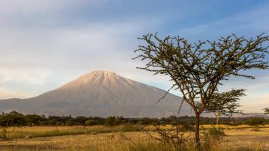 tanzania_kilimanjaro_uitzicht_shutterstock