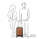 Delsey Chatelet Air 2.0 koffer / 38 L