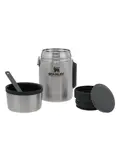 Stanley Food Jar - RVS