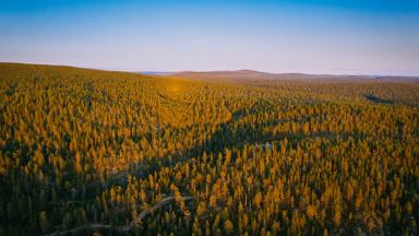 finland_lapland_urho-kekkonen_ukk-np_bos_zonsondergang_uitzicht_luchtfoto_getty