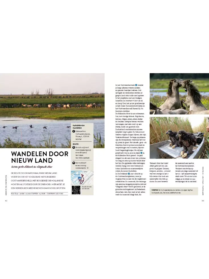 De allermooiste wandelroutes van Nederland