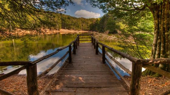 Italie_Puglia_Sfeerbeeld_Foresta Umbra_a.jpg