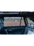 Toyota RAV-4 (5th Gen) 2018 - Zonneschermen - Car Shades