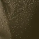 Barbecuehoes geschikt voor Bastard Medium