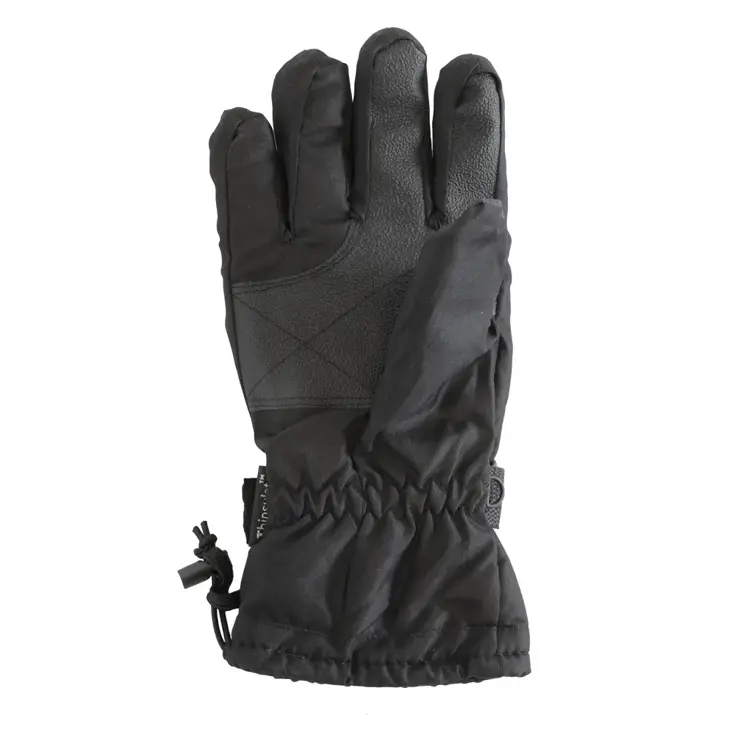 Skihandschoenen voor volwassenen - Taslan