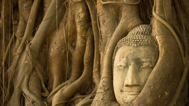 thailand_ayutthaya_ayutthaya_wat-pra-mahathat_tempel_boeddha_hoofd_boomwortels_shutterstock