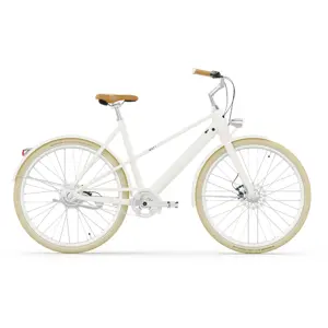 VALENCIA E-BIKE 54CM PARELWIT