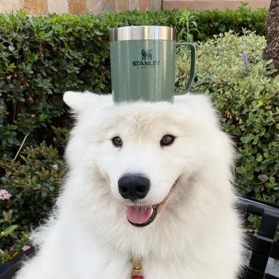 Stanley - Kampeermok 0.35L