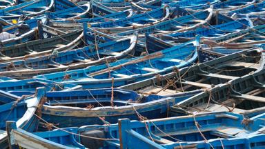 marokko_marrakech-safi_essaouira_boten_blauw_w