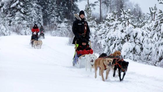 finland_arctic-lakeland_vuokatti-safaris_husky-safari