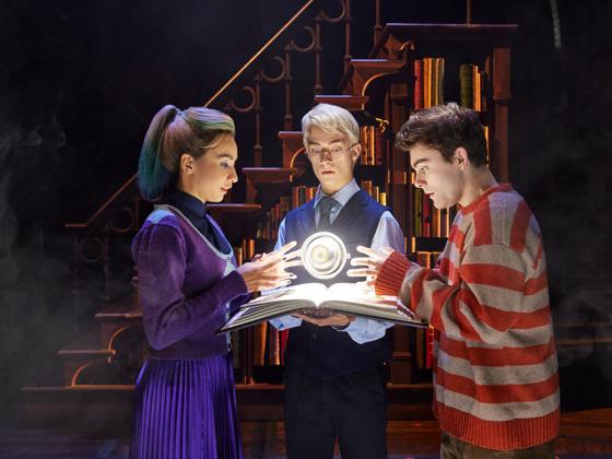 Impressie van Dé theatersensatie Harry Potter