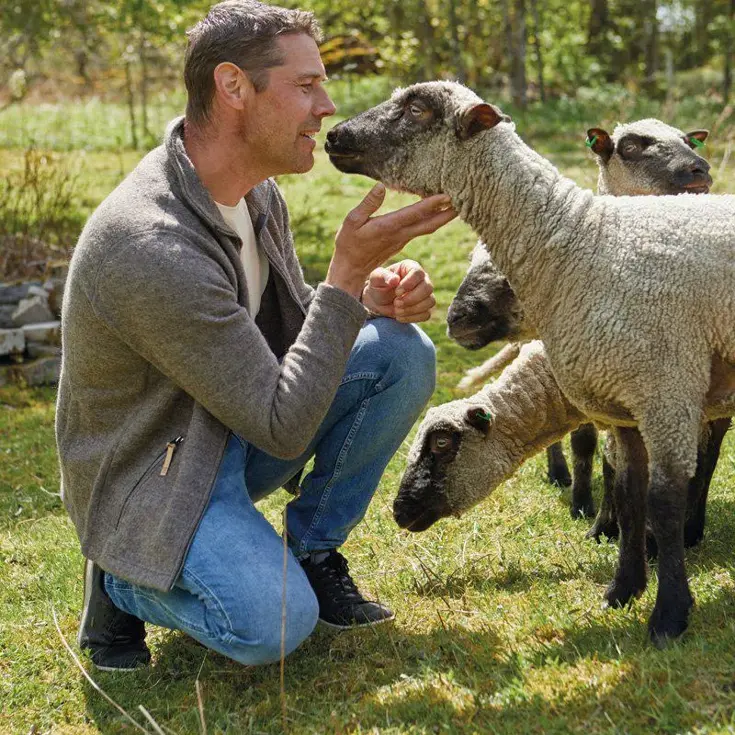 Ivanhoe trui NLS Sap heren