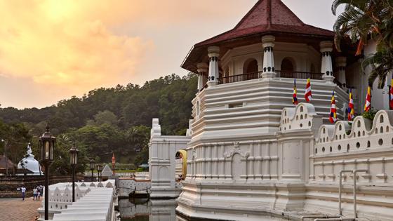Sri Lanka 2019 221