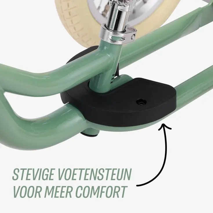 2-in-1 Loopfiets Driewieler met Duwstang