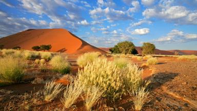 namibie_sossusvlei_duin_woestijn_b.jpg