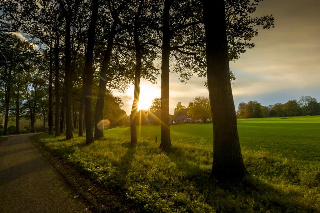 Beeld kan niet gebruikt worden ivm copyright onbekend