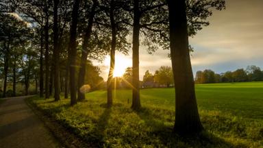 Beeld kan niet gebruikt worden ivm copyright onbekend