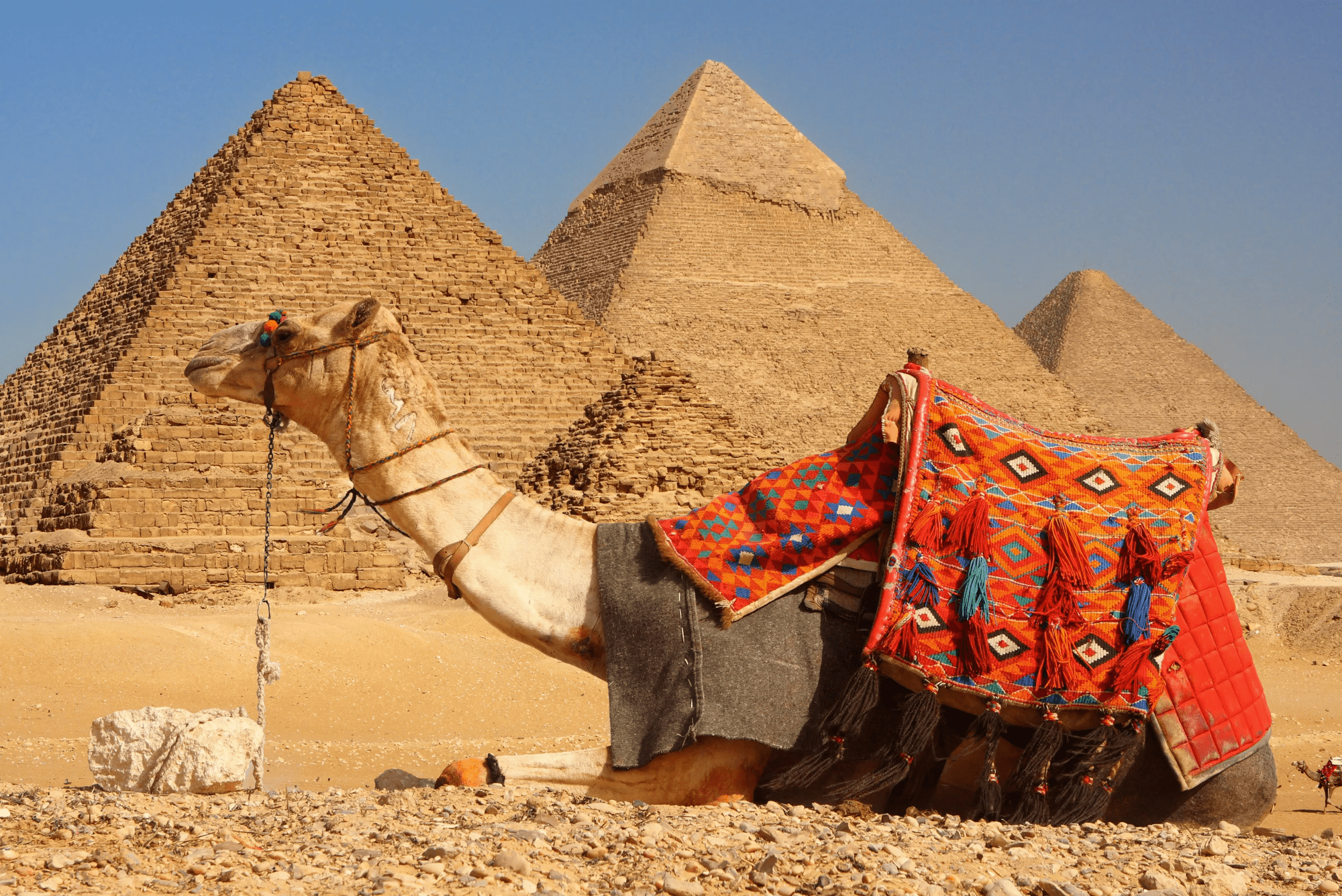 10-daagse groepsrondreis de Schatten van Egypte