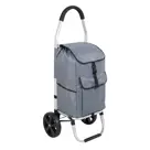 Boodschappenwagen 40L inklapbaar