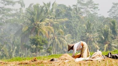 indonesie_bali_ubud_rijstboer_9_b.jpg