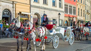 polen_klein-polen_krakau_paard en wagen_straat_pixabay