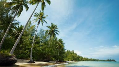 thailand_khao-lak_strand_palmbomen_2_b.jpg