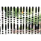 IVOL Vliegengordijn Robin - 90x220 cm