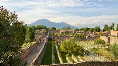 italie_campanie_pompei_vesuvius_wijngaard_opgravingen_muurtjes_daken_GettyImages-696290384