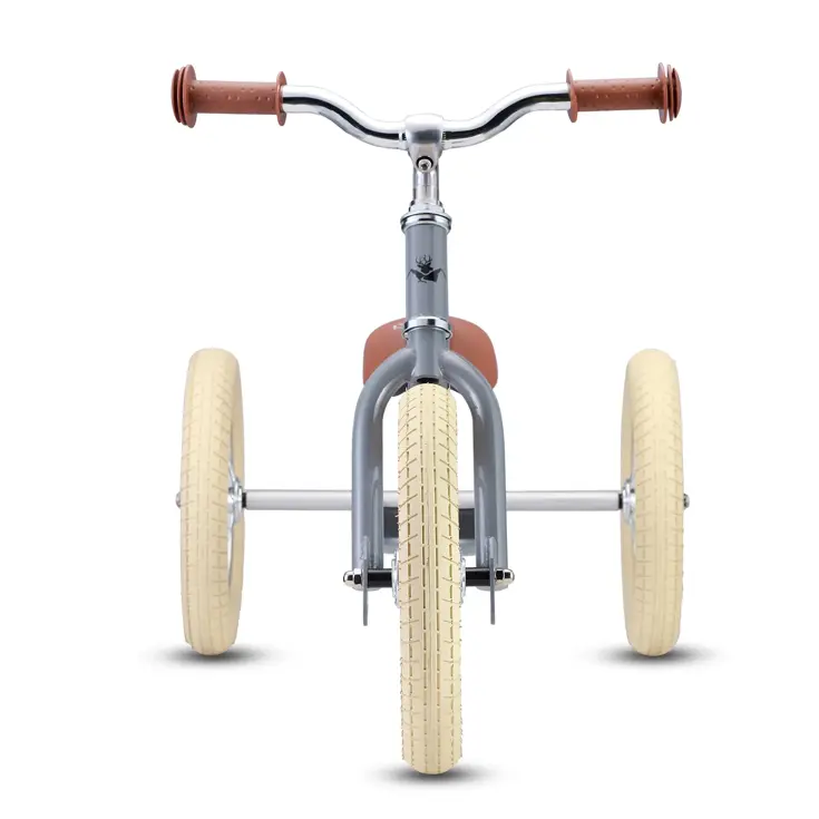 2-in-1 Loopfiets Driewieler met Duwstang