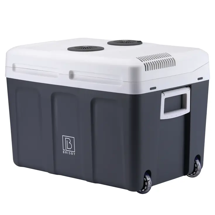 Elektrische Koelbox – 40L – 12V/230V