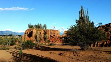colombia_neiva_desierto-de-la-tatacoa_woestijn_cactus_12_f