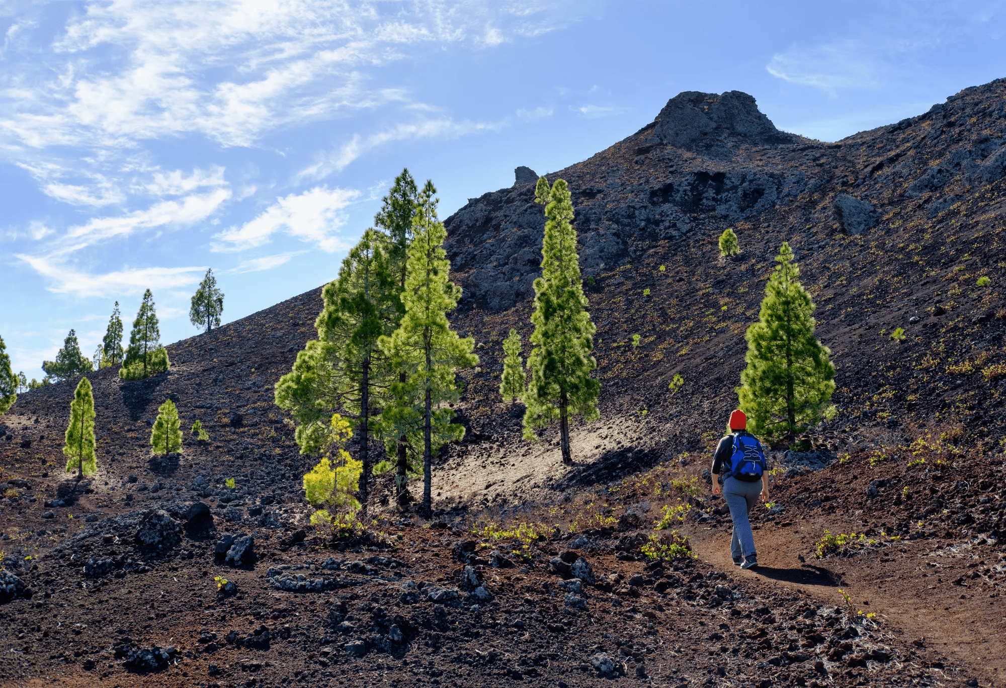 Wandelvakantie 8-daagse groepswandelvakantie Tenerife in Tenerife (Diversen, Spanje)