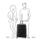 Delsey Belmont Plus koffer / 110 L