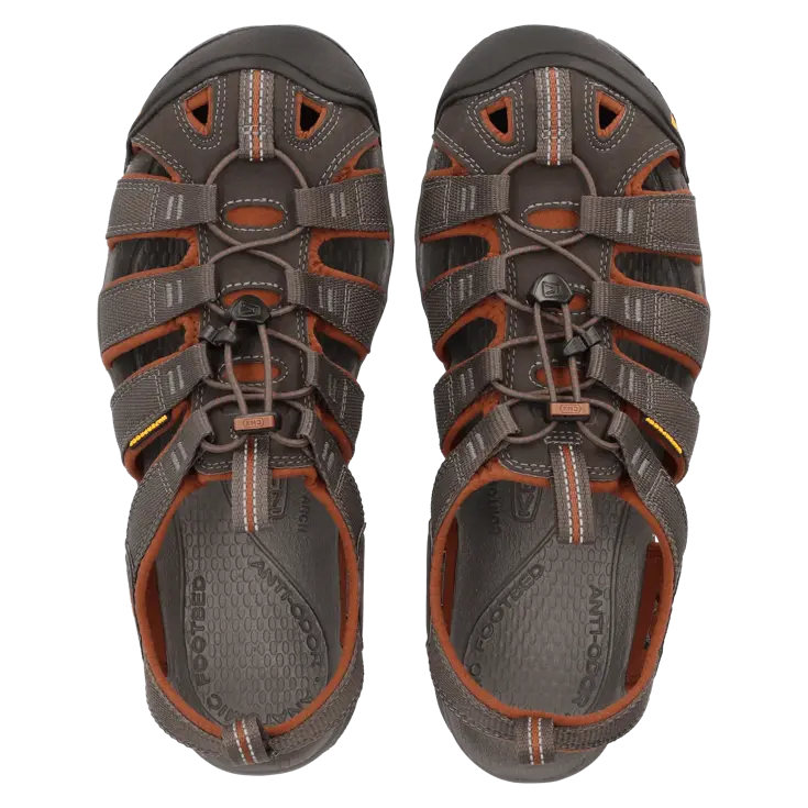 Clearwater CNX - Wandelschoenen - Heren