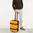 Beagles - Travel - Handbagage reistas